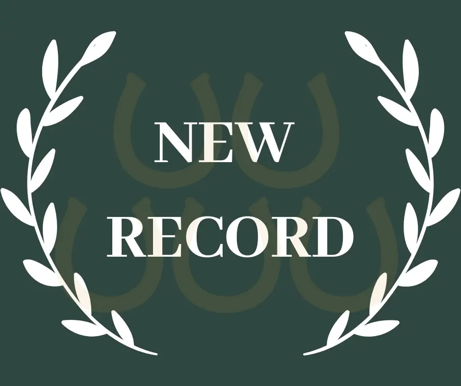 You are currently viewing A New Record at The Horseshoes