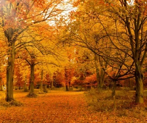 Read more about the article First Day of Autumn…