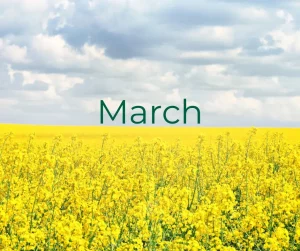 Read more about the article Goodbye February