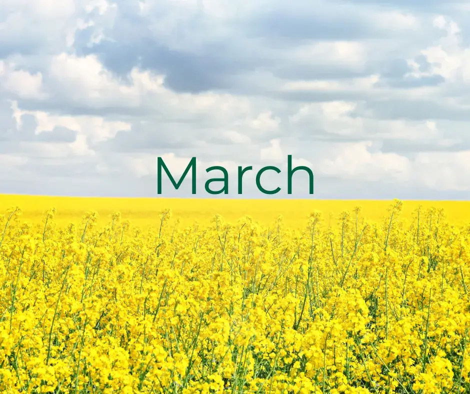 You are currently viewing Goodbye February