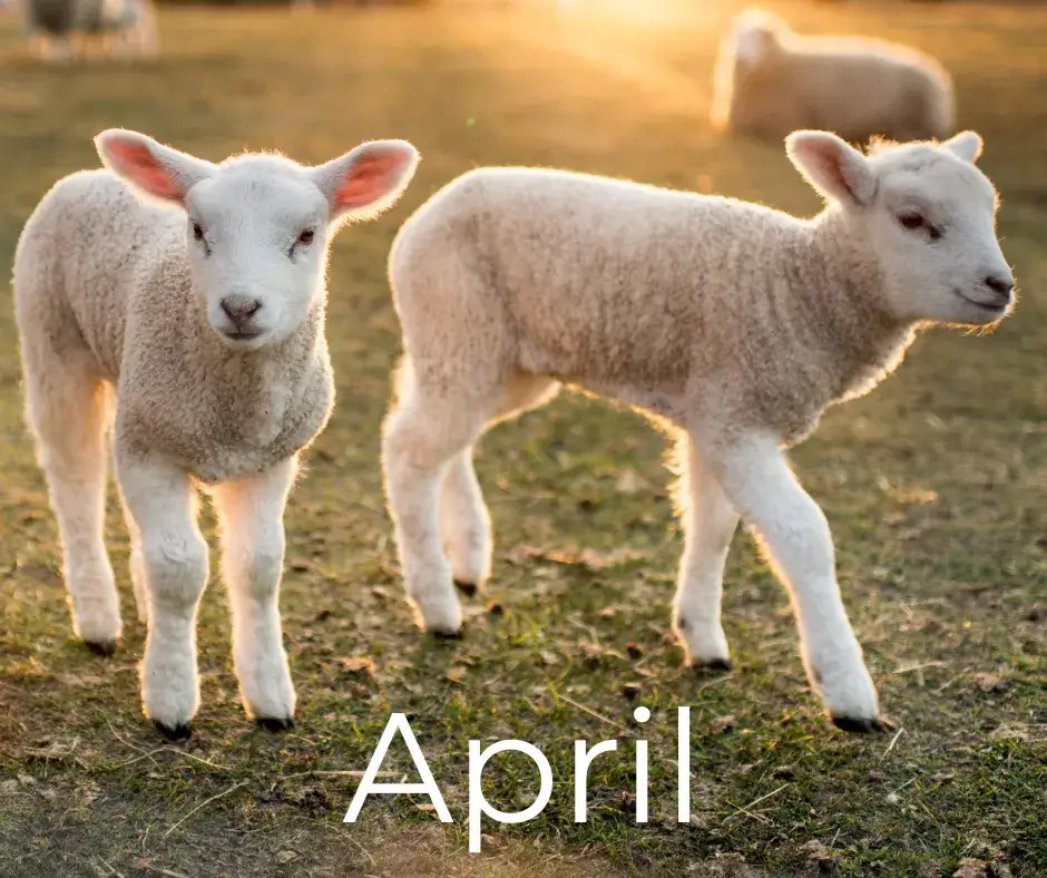 You are currently viewing Sunny days and bitter winds…